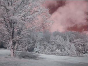 patrickriceinfrared03.jpg