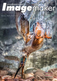 February/March 2016 Professional Imagemaker Magazine