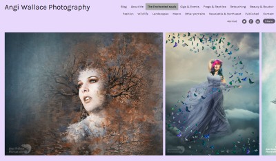 an example of the images created by Angi Wallace